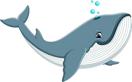 whale2